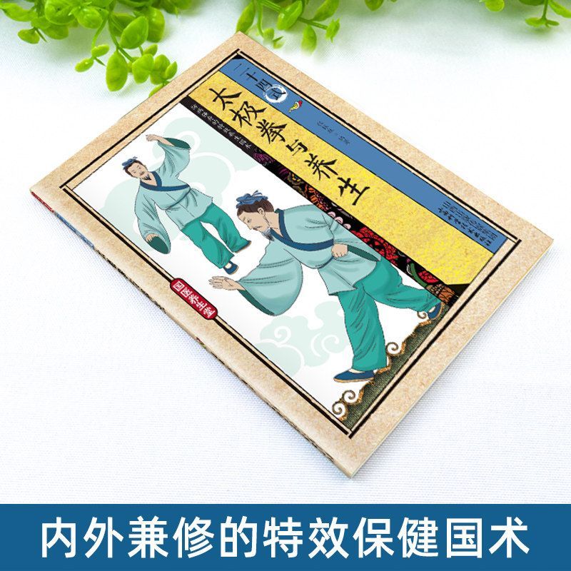 24種類の太極拳と健康体操の図解アクションテクニック Lib - Health & Wellness Nurse Coach のレビューと価格