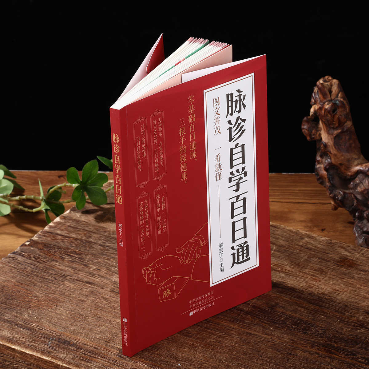 脈診独学百日合格、伝統中国医学入門独学健康書 - Health & Wellness Nurse Coach のレビューと価格