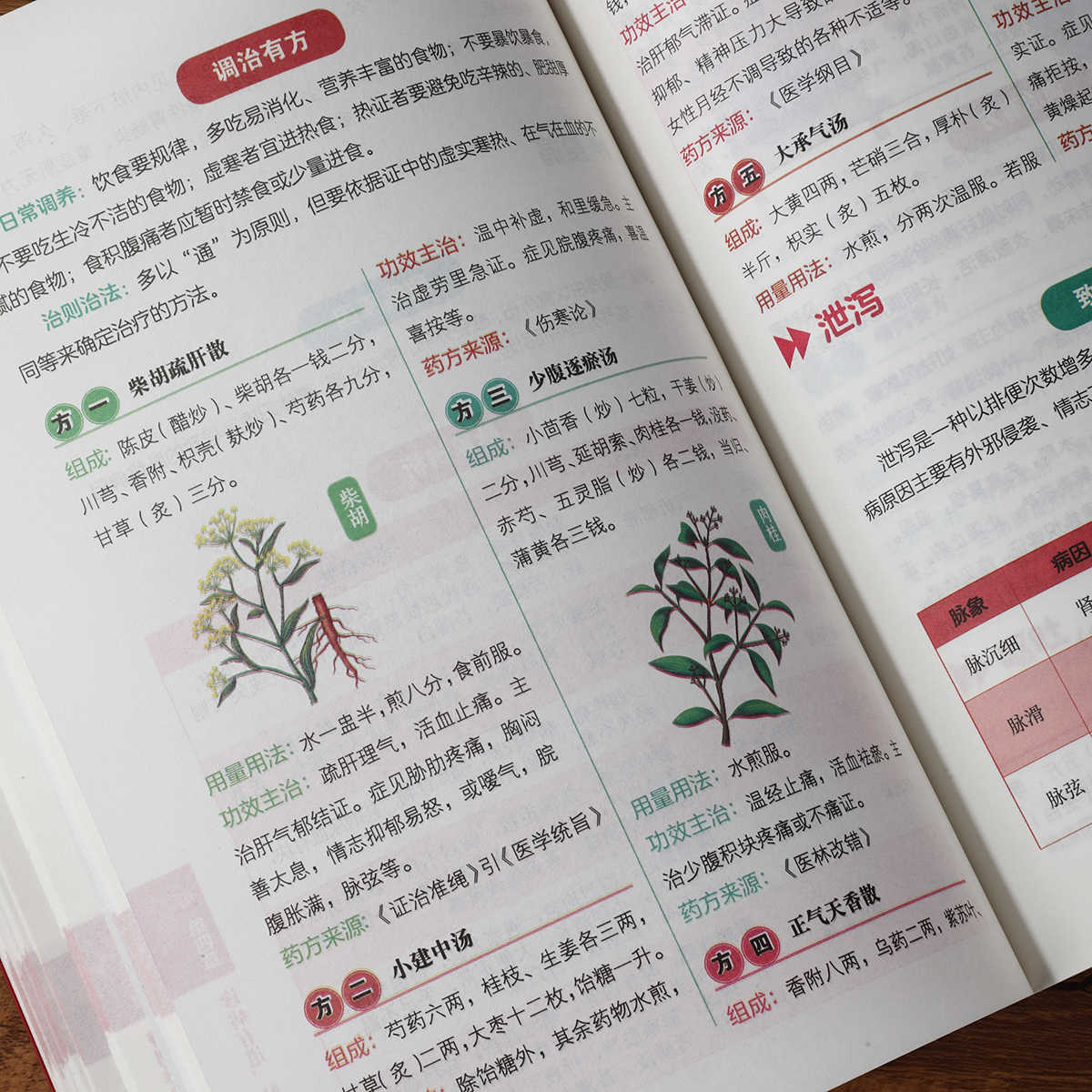脈診独学百日合格、伝統中国医学入門独学健康書 - Health & Wellness Nurse Coach のレビューと価格